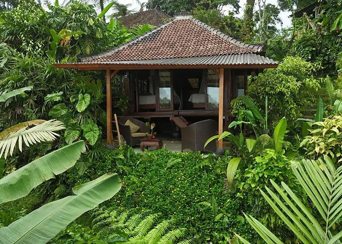 Sarinbuana Eco Lodge