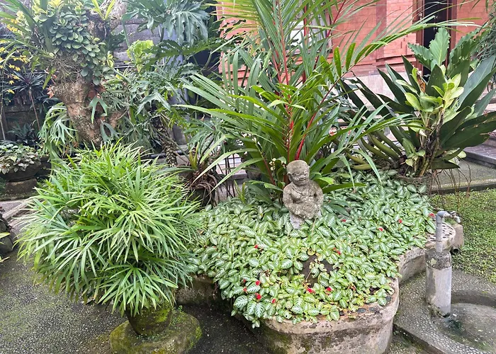 Yumi House