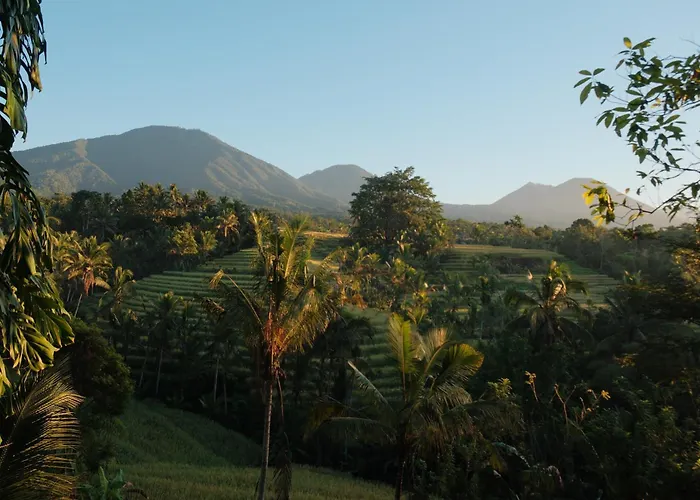 Saridevi Ecolodge