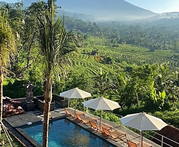 Villa Lumbung Ayu Sari&Spa