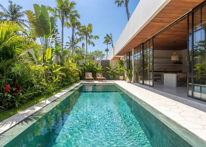 The Dreamland By The Young Villas