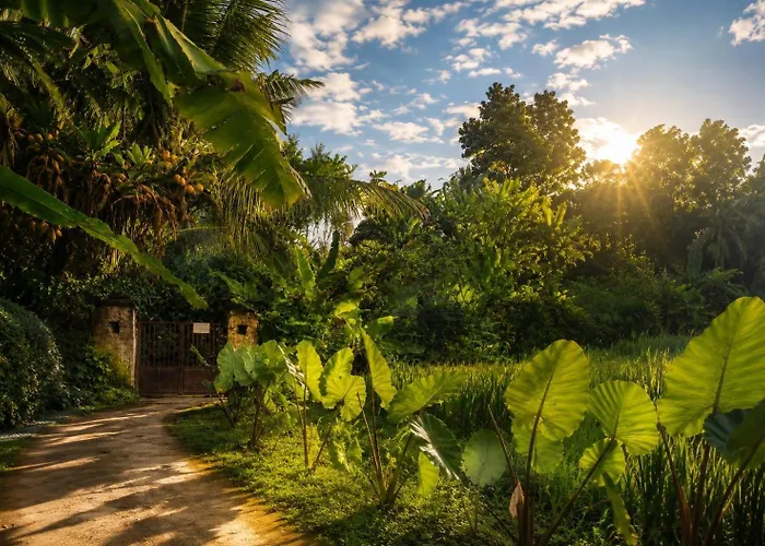 Jungle Hideaway Villas 1 - River Cafe