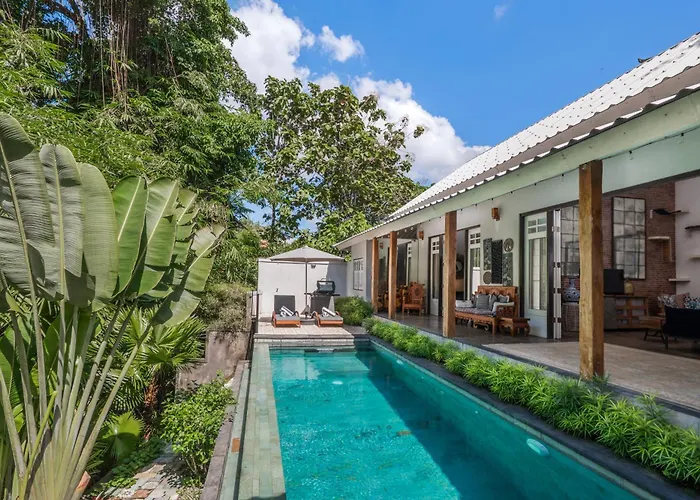 Little Sanctuary - Pool - Cat - Heart Of Ubud