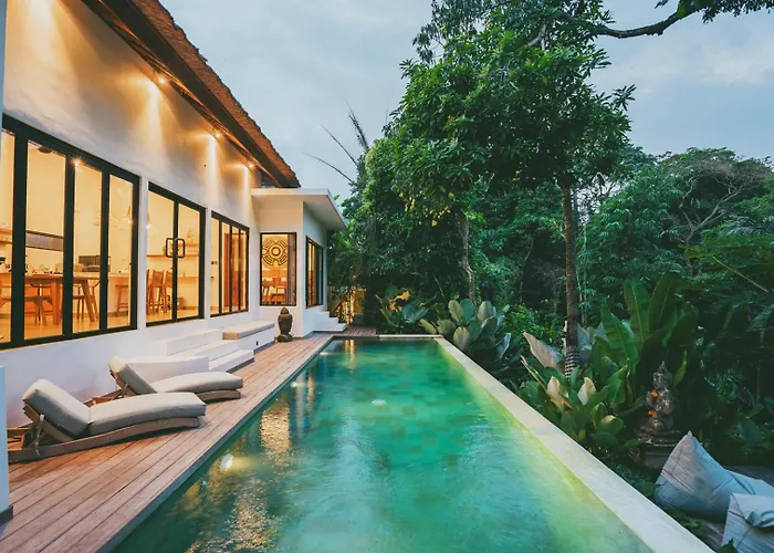 Infinity Pool Villa With Jungle & River View