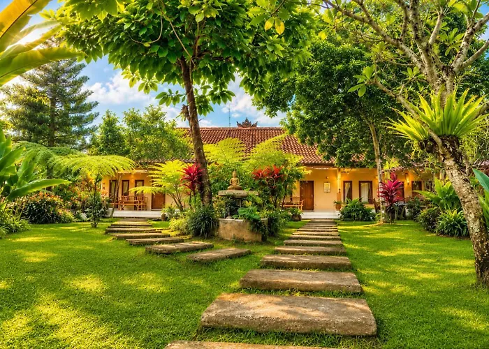 Bucu Hidden Guest House, And Meditation Center