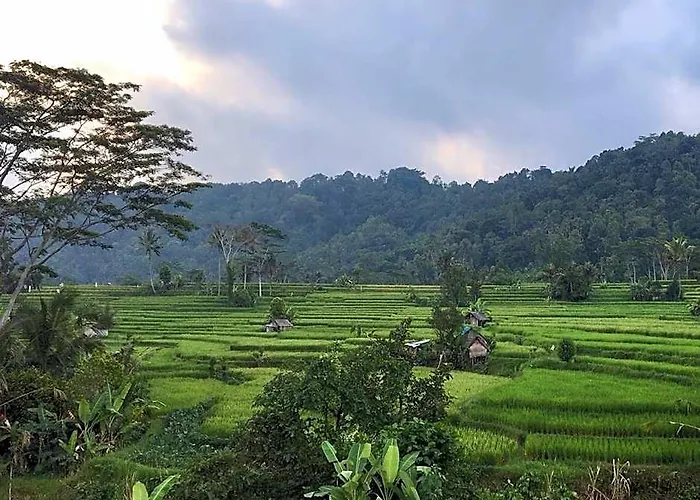 Graha Ayoe