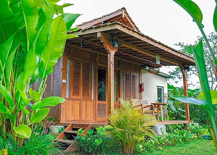 Green Lava Mountain View Cabin Bedugul By Ihm