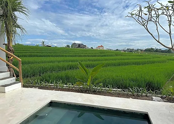 Blue Origin Bali