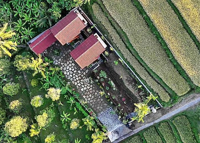 Kubu Sambangan Bali
