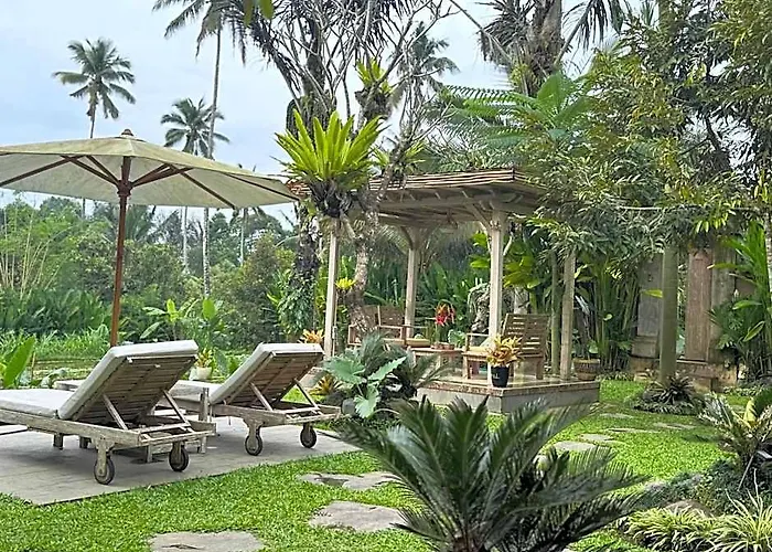 D'Pondok Sangaji Ricefield View By Eps
