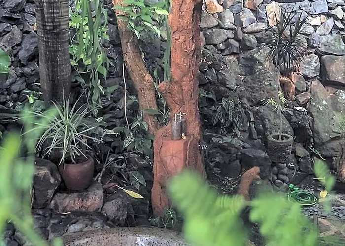 Kailash Lodge