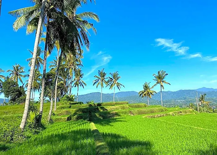 Mayong Bali Villa And Hostel
