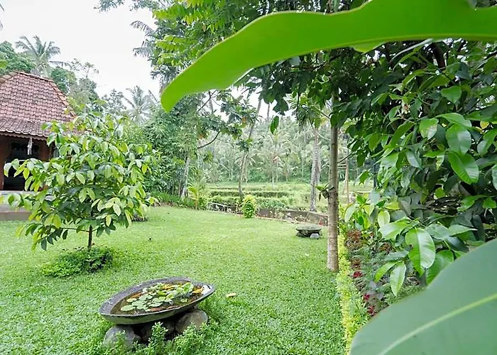 Nishiyama House Sambangan By The Lavana
