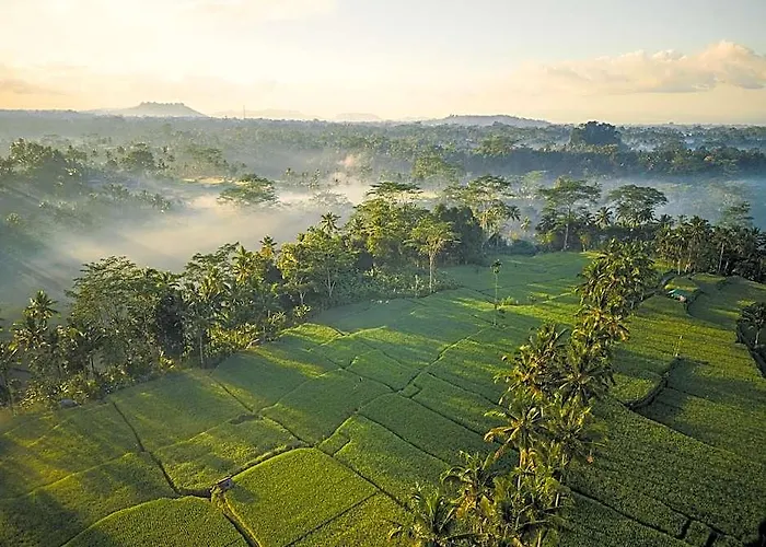 Ubud Mas Glamping Luxury Tent