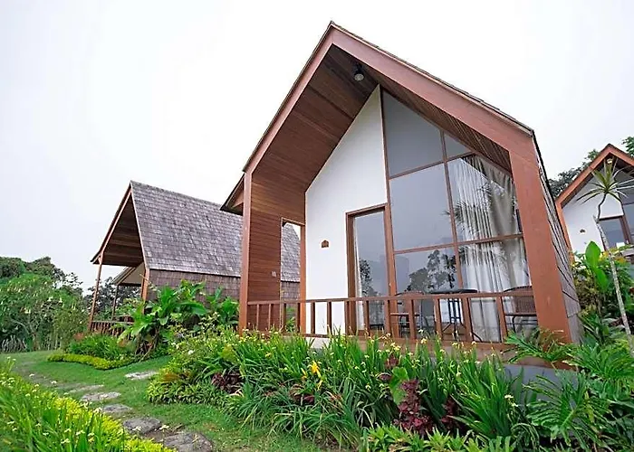 Catu Glamping Bedugul