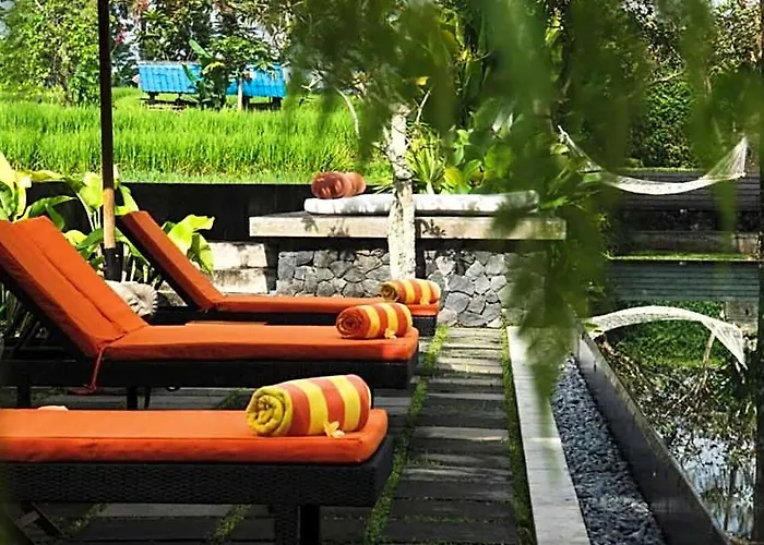 Calm 5 Bedroom Private Villa With Rice Field View Zn09