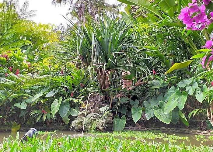 Calming 3Br Private Pool Villa In Ubud