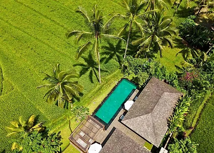 Entire 2 Bedroom Private Pool Villa At Ubud