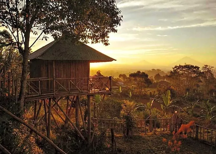 Bali Tree House