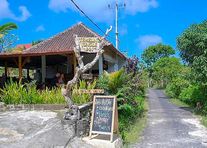 Temeling Jungle Inn