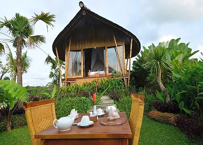 Padi Bali Eco Villas