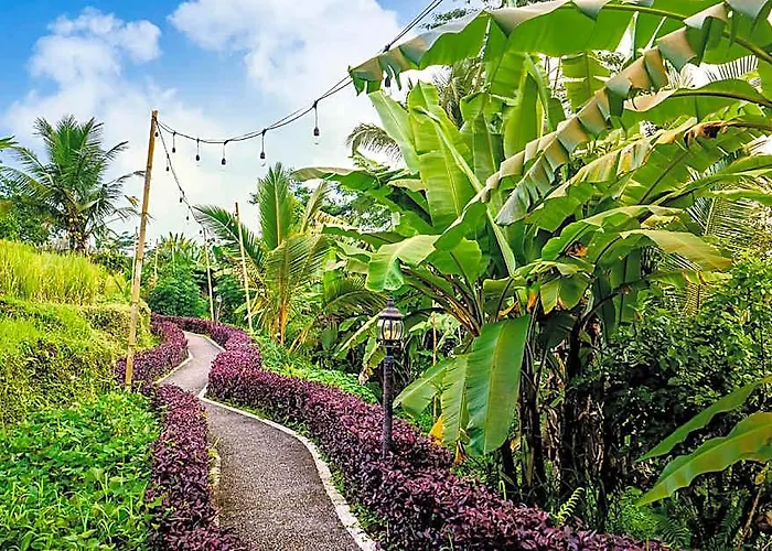 Bubble Hotel Bali Ubud (Adults Only)
