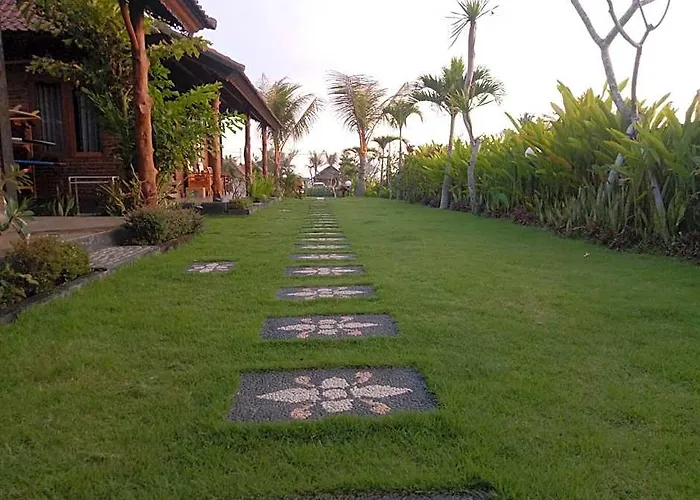 Emir Surfcamp