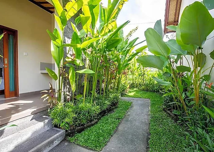 Sisin Ubud View