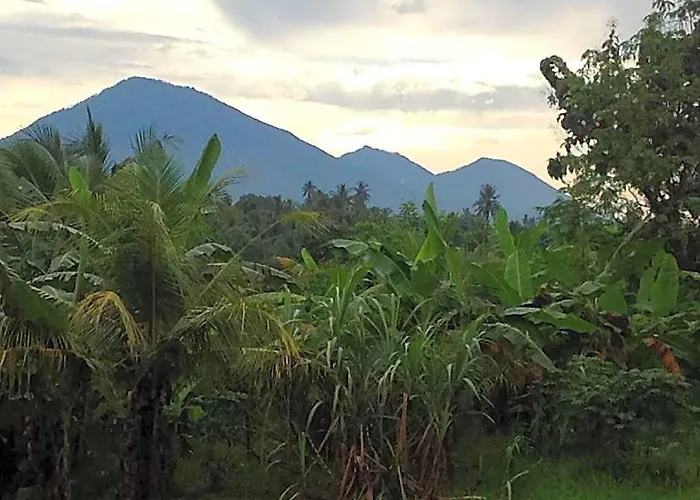 Villa Gede Private Guest House