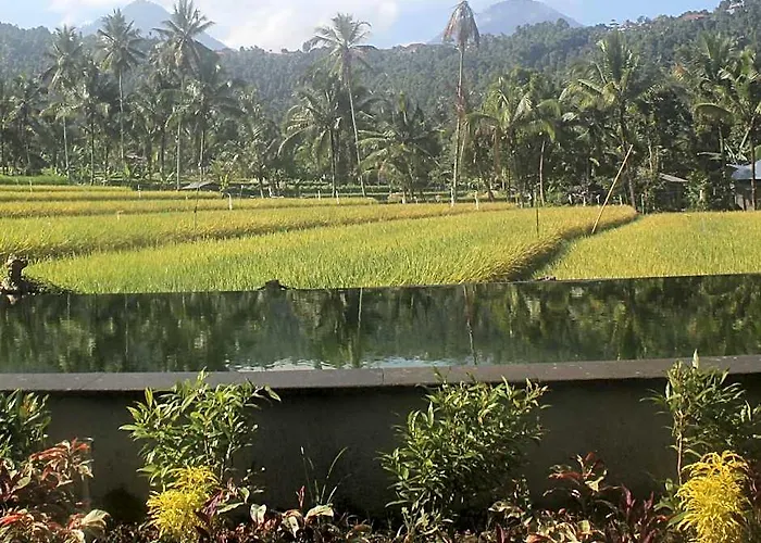 Amartya Puri Green Cottages