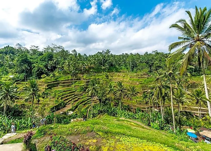 Samsara Ubud