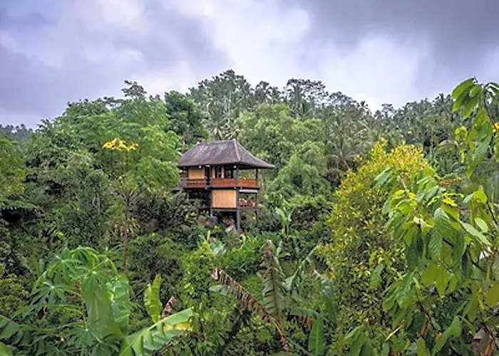 Bali Eco Stay