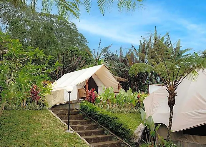 Alamu Eco Lodge