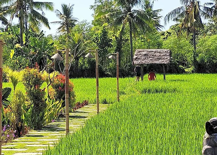 Umma Bali Menjangan Retreat