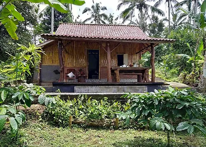 Bali Mountain Forest Cabin