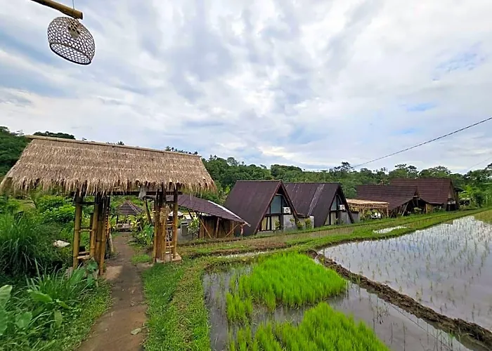 Umauthu Bali