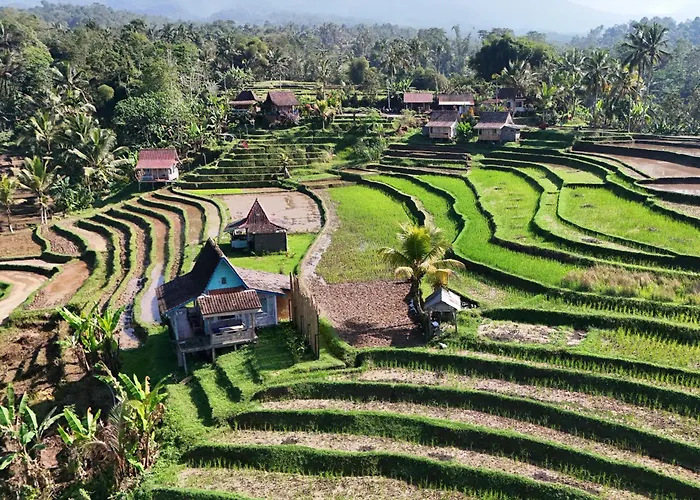 D'Ume Bendoel Homestay