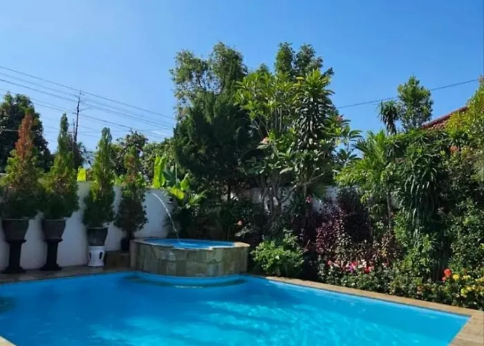 Lovina Pool The Sun