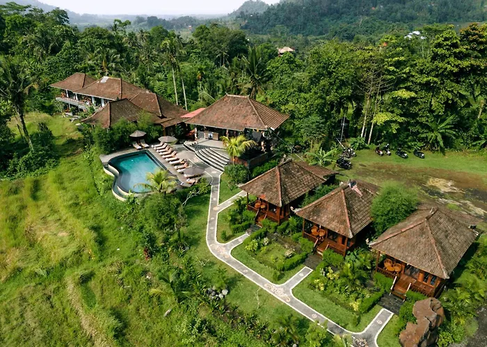 Cassowary Villas Sidemen By Agata