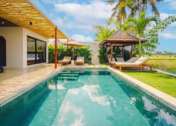 3Br Villa With Rice Field View & Private Pool Near Canggu