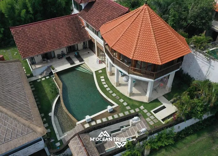 Ocean View Family Wellness Mocean Tribe Villa