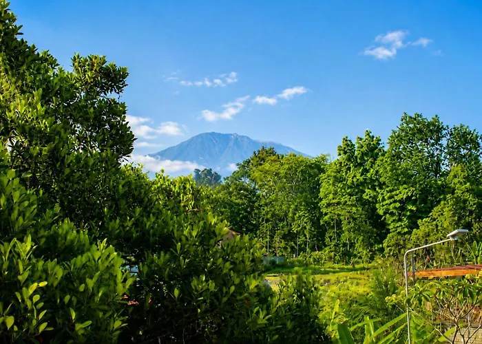 Adyara Homestay