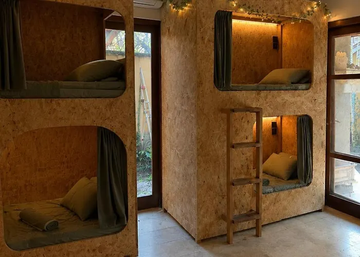 The Lazy Rabbit Hostel