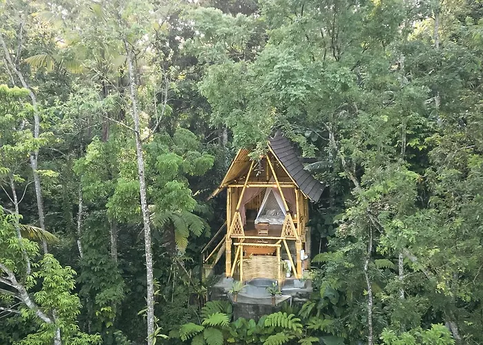 Alasari Hidden Bamboo Retreat In The Jungle