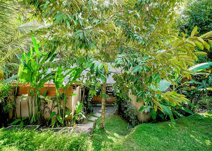 Ubud Jungle Stay - Mawas By Wahm