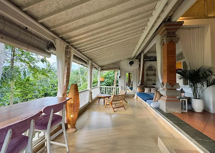 White Nest With Jungle View