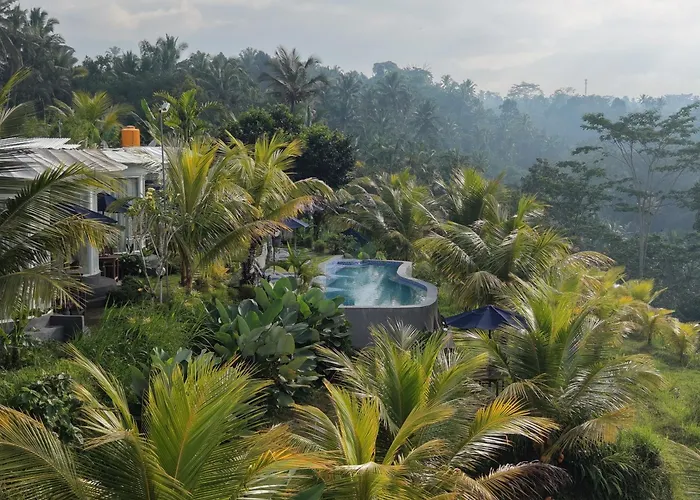De Sila House And Pool, With Pool, Rice Terrace And Clift View