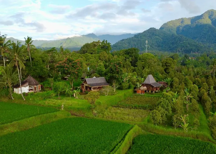 Sunset Sala- Experience The Real Bali