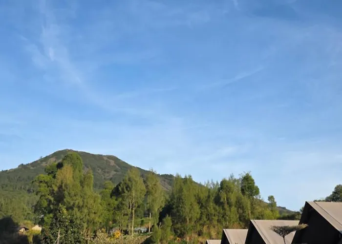 The Breeze Glamping With Mount Batur Jeep Sunrise Treking