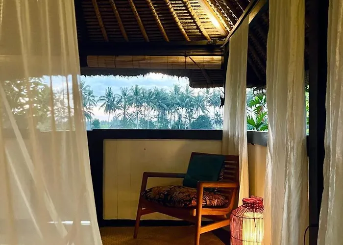Bamboo T House